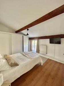 布隆Spacieux & Charmant 2 chambres - Lyon Bron Eurexpo的一间卧室配有一张床和一台平面电视