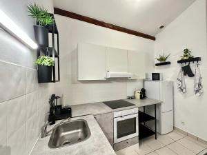 布隆Spacieux & Charmant 2 chambres - Lyon Bron Eurexpo的厨房配有水槽和冰箱