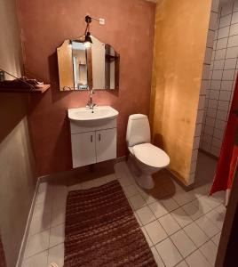 AskebyBygagergaard的一间带卫生间、水槽和镜子的浴室