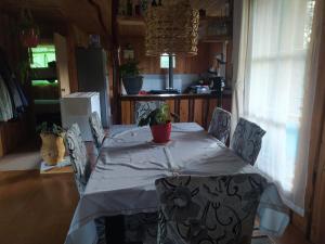 比亚里卡CASA DE CAMPO的一张桌子,上面有白色的桌布和盆栽植物