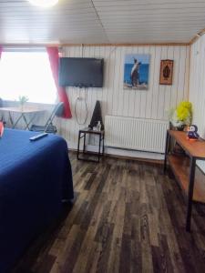 蓬塔阿雷纳斯Hostal Host Patagonia的一间卧室配有一张床和一台平面电视