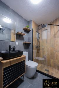 马夫罗沃Lynx Apartment的一间带水槽、卫生间和淋浴的浴室