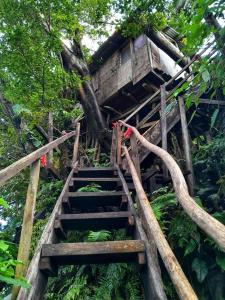 White SandsCastle Tree House And Bungalow的树屋,有楼梯通往