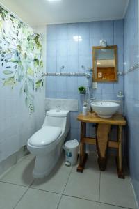 科伊艾科恩托苏尔旅馆的一间带卫生间、水槽和镜子的浴室