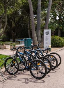 萨尔加Alua Illa de Menorca的停在标志旁的一排自行车