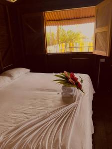 努基Cabañas Iracas del Mar的花瓶坐在床上,有窗