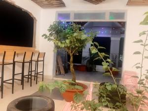 Bình ThủyHomeStay KV2的相册照片