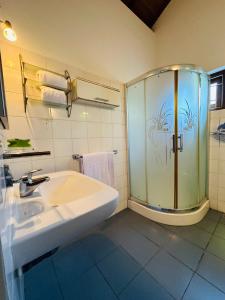 尼甘布Haus Berlin的一间带水槽和玻璃淋浴的浴室