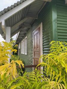 马太Camp Taveuni的绿屋,有门,有植物