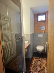 达沃斯Chalet Wiesen的带淋浴、卫生间和盥洗盆的浴室