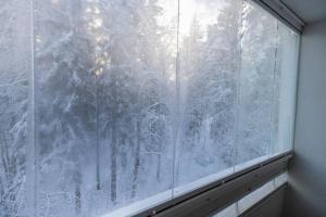 万塔30m2 studio - 500m from train station to Airport and Helsinki city centre的窗户享有雪覆盖的森林美景
