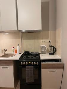 里加Cozy apartment close to Riga Airport的厨房配有炉灶和水槽