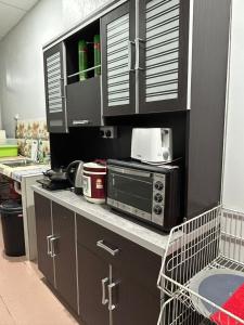 怡保BOTANI LOFT HOMESTAY的厨房配有带微波炉和水槽的台面