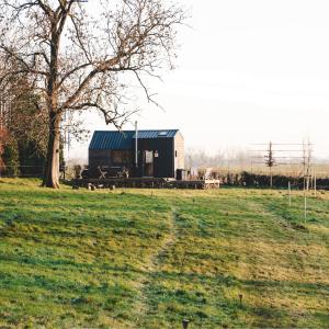 绍蒙－吉斯图Tiny House Au Coeur de la Campagne Wallonne的树田中的黑色小屋