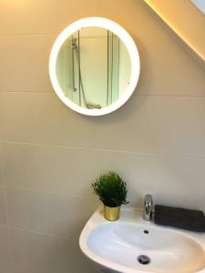 维也纳Beautiful Rooftop Apartment的浴室水槽,配有镜子和盆栽植物