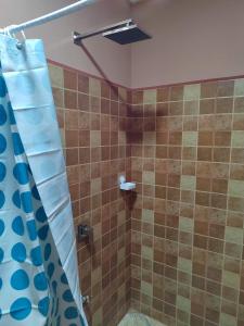 托尔图格罗Cabinas Agamy的一间带蓝色淋浴帘的淋浴的浴室