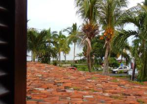 格拉纳达艾马耳他酒店的棕榈树的大砖墙