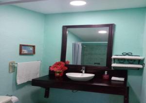 格拉纳达艾马耳他酒店的一间带水槽和镜子的浴室