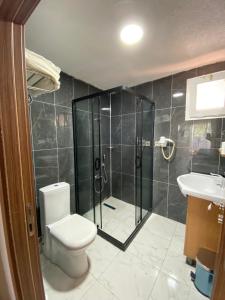 伊斯坦布尔GOLDEN PALACE SEA ViEW的浴室配有卫生间、淋浴和盥洗盆。