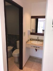 特尔马斯德里奥翁多Hotel internacional的一间带卫生间、水槽和镜子的浴室