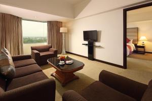 北干巴鲁北干巴鲁阿里亚酒店的一间客厅,客厅配有沙发和电视,位于酒店的房间