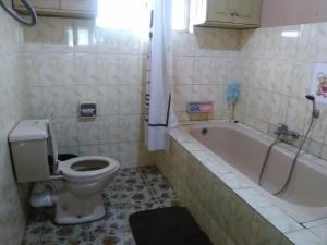 塔那那利佛Antsaly的一间带卫生间和浴缸的浴室