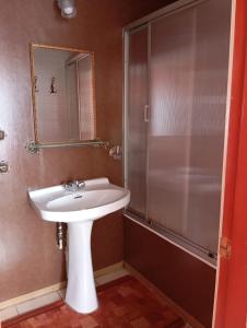 卡斯特鲁ALERCE NATIVO HOTEL的浴室配有白色水槽和淋浴。