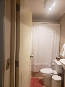 特木科Apartamento full equipado的一间带卫生间和水槽的浴室