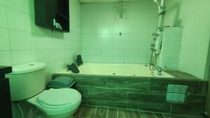 波哥大Bio Casa Colibrí的一间带卫生间和浴缸的浴室