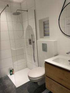 瓦瑟纳尔Cottage Guest House in Wassenaar的带淋浴、卫生间和盥洗盆的浴室