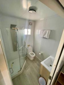 Al Ghaylānahمخيم شداد Eco Shdad的带淋浴、卫生间和盥洗盆的浴室
