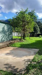 伊塔蒙蒂Casa e camping Reinaldo e Julia recanto das árvores的车道旁的草木