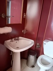 卡斯特鲁ALERCE NATIVO HOTEL的浴室配有白色水槽和卫生间。