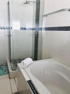 马盖特Dwengu Guest house的设有带浴缸和淋浴的浴室。