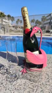 弗拉门卡海滩El Rincon Getaway Sea & Golf的玻璃杯旁的桌子上放一瓶葡萄酒