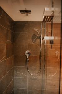 伦格里斯Wohnung Schrödelstein的浴室内配有淋浴和头顶淋浴