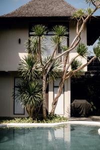 坎古Wave House - Surf Camp的一座棕榈树环绕的别墅,毗邻游泳池