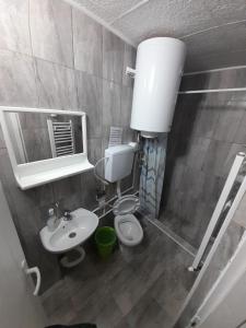 皮罗特Guest House Vila Banjica的一间带卫生间、水槽和镜子的浴室