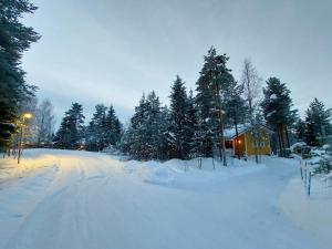 罗瓦涅米Lapland Forest Lodge的一条被雪覆盖的房屋旁的道路