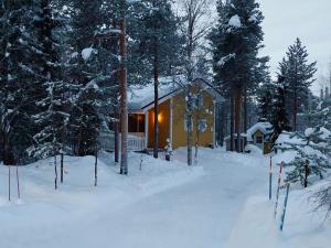 罗瓦涅米Lapland Forest Lodge的雪中的房子,有雪覆盖的树木