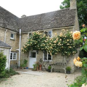 赛伦塞斯特Characterful Cotswold cottage的前面有一棵开花的树的房子