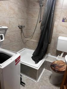 松博特海伊Minibar Inclusive! TH 326 City Center 40sqm Apartment的带淋浴、卫生间和浴帘的浴室
