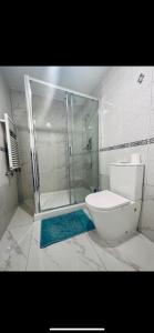 伦敦CENTRAL London Luxury APP的带淋浴、卫生间和玻璃淋浴间的浴室