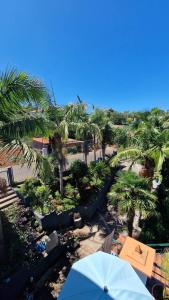 圣若热岛Villa Alta Vista的享有棕榈树海滩和遮阳伞的景色