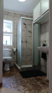 比勒陀利亚741 Tetra Self Catering Accommodation的带淋浴、卫生间和盥洗盆的浴室