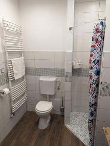 克塞洛Várfal apartman的一间带卫生间和淋浴的小浴室