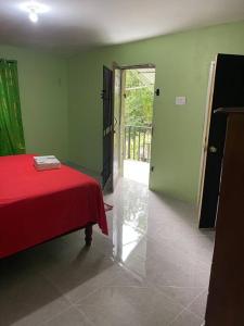 HayesZayne's comfort zone的一间设有红色床和绿色墙壁的客房