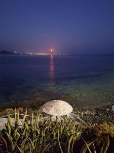 提诺斯Agali bay hotel的享有海洋的夜间美景