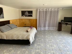 卡尔德拉Suite Loreto的一间卧室配有一张床和一台电视