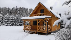 米卢夫卡Smrekowa Chatka w Milówce的雪中小屋,有雪覆盖的树木